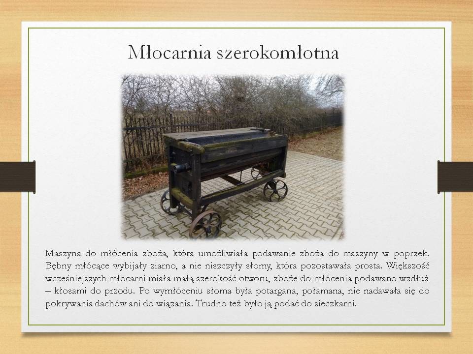 image-19